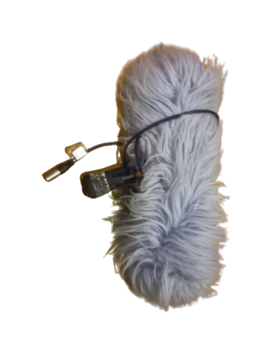 Microphone