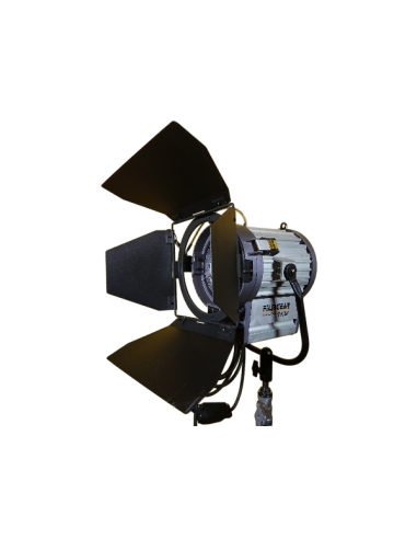 1 KW FRESNEL